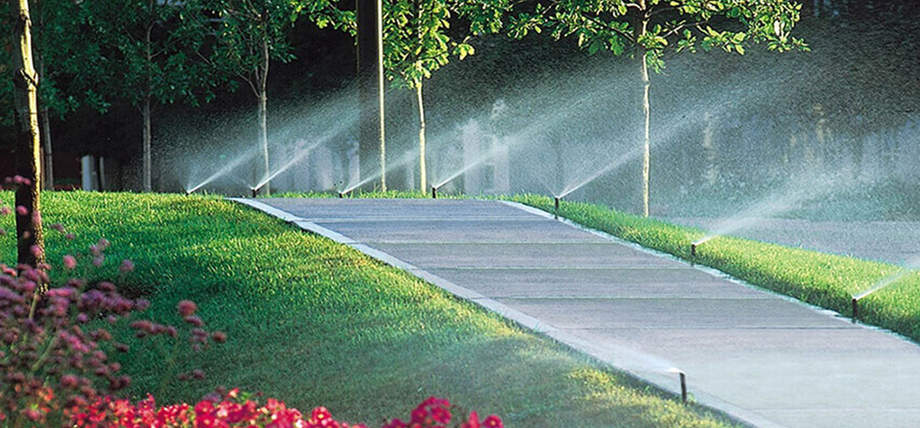 Düzce Otomatik Sulama Sistemleri