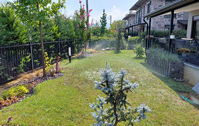 Düzce Otomatik Sulama Sistemleri