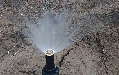 Düzce Otomatik Sulama Sistemleri