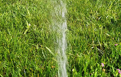 Düzce Otomatik Sulama Sistemleri