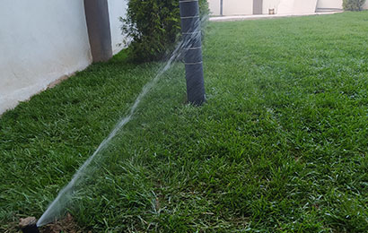 Düzce Otomatik Sulama Sistemleri