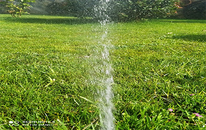 Düzce Otomatik Sulama Sistemleri