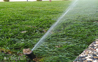 Düzce Otomatik Sulama Sistemleri