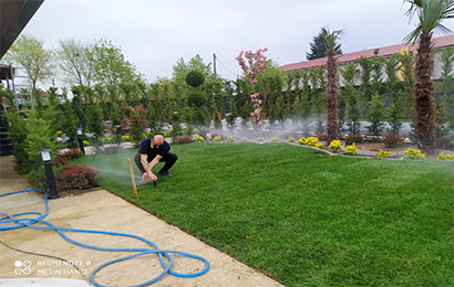 Düzce Otomatik Sulama Sistemleri