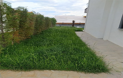 Düzce Otomatik Sulama Sistemleri