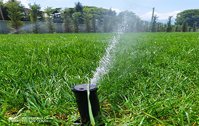 Düzce Otomatik Sulama Sistemleri