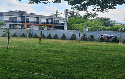 Düzce Otomatik Sulama Sistemleri