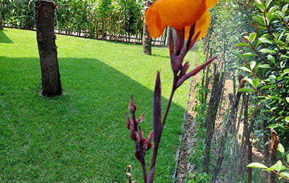 Düzce Otomatik Sulama Sistemleri